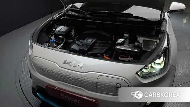 Kia Niro EV id 3421683 из Кореи 16