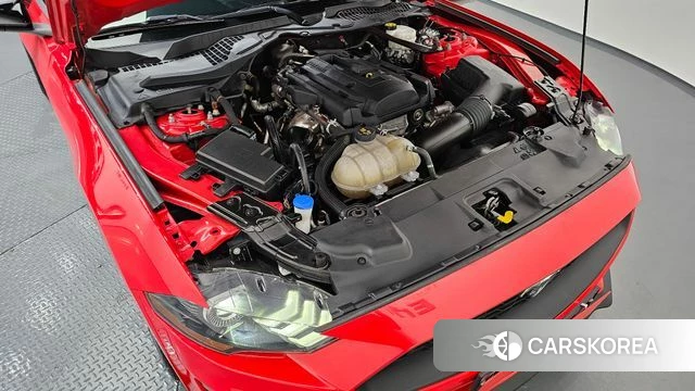 Ford Mustang id 4331065 из Кореи 16