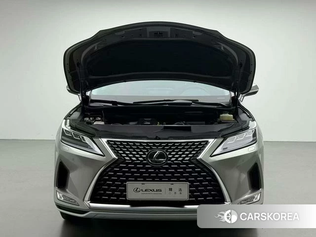 Lexus RX id 4341831 из Китая 13