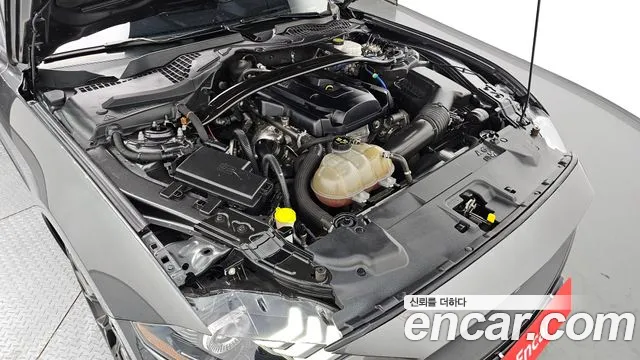Ford Mustang id 2762599 из Кореи 16