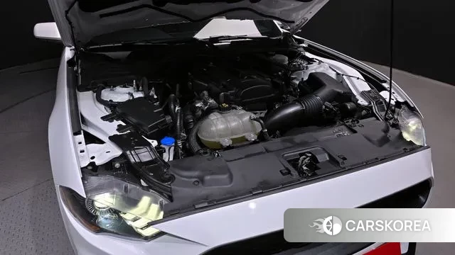 Ford Mustang id 3691200 из Кореи 16