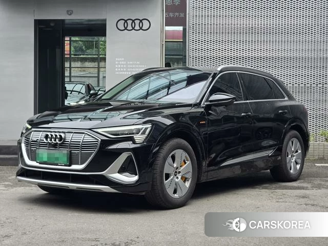 Audi e-tron id 4279175 из Китая 14