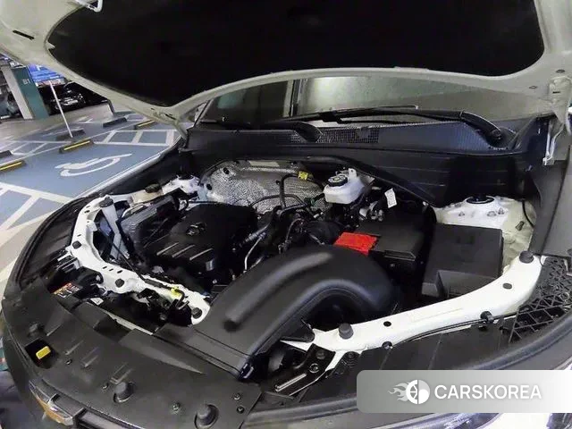 Chevrolet (GM Daewoo) Trailblazer id 3020975 из Кореи 16