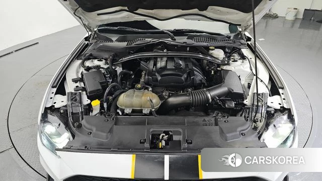 Ford Mustang id 4770516 из Кореи 26