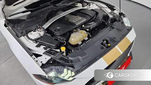 Ford Mustang id 3139705 из Кореи 16