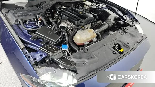 Ford Mustang id 3226168 из Кореи 16