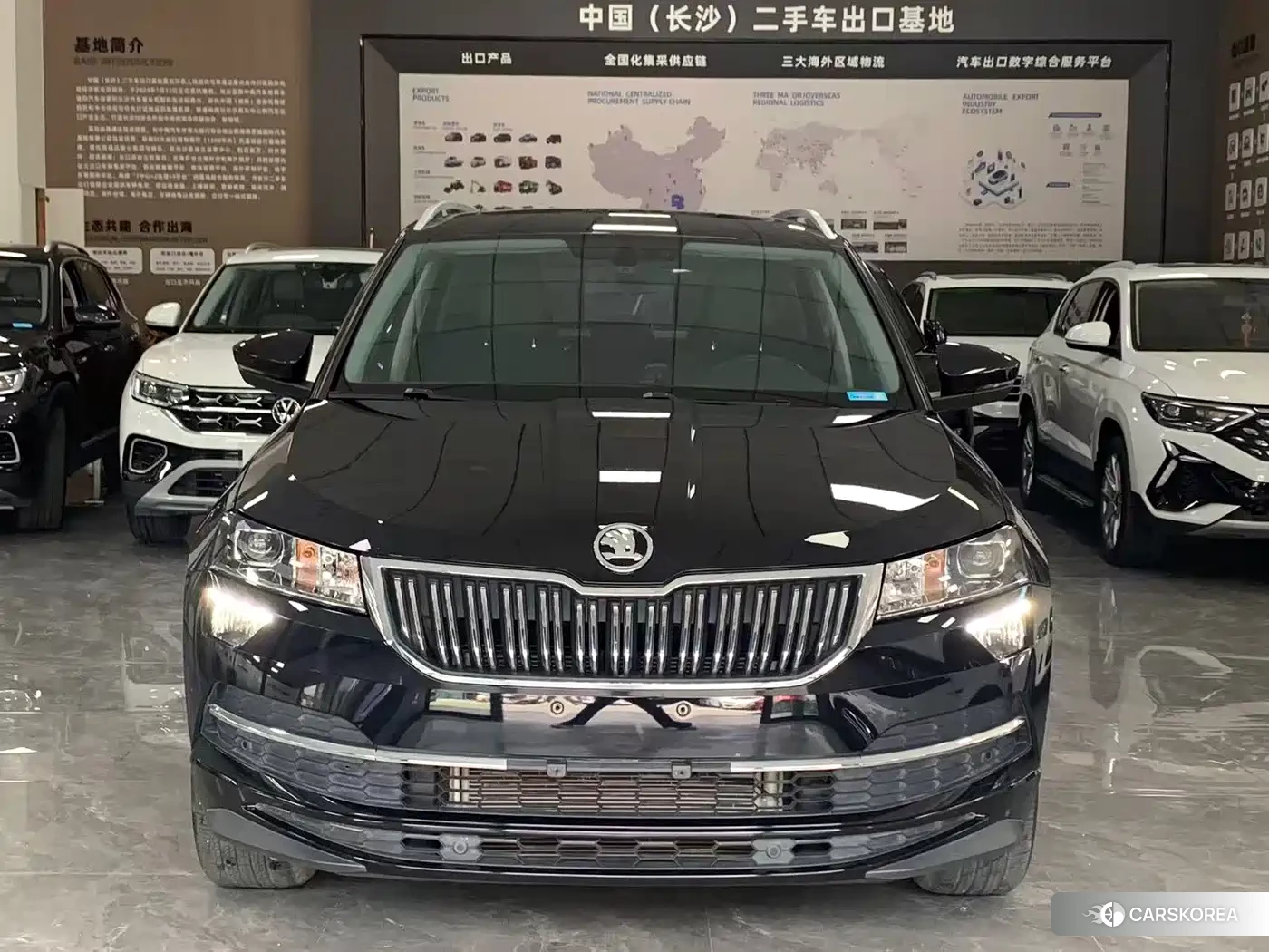 Skoda Karoq id 4686003 из Китая 9
