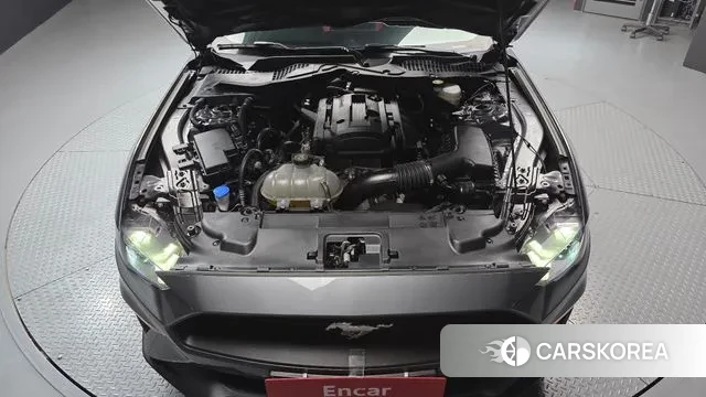 Ford Mustang id 3739854 из Кореи 16