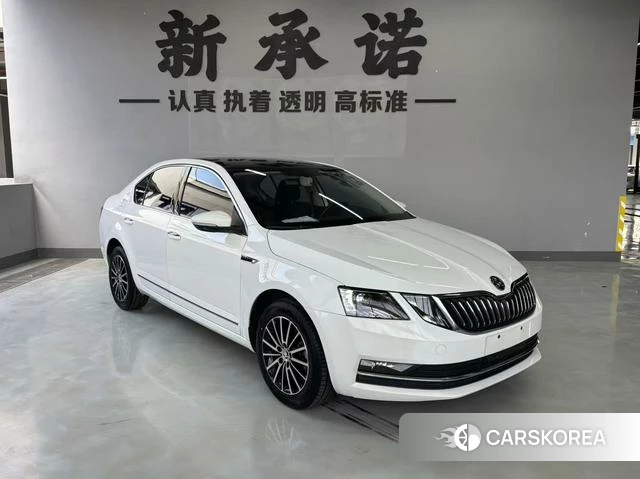 Skoda Octavia id 4241928 из Китая 10