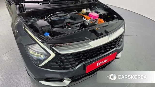 Kia Sportage 5th Generation Hybrid id 3426284 из Кореи 16