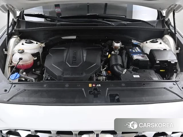 Hyundai The New Santa Fe id 3028105 из Кореи 16