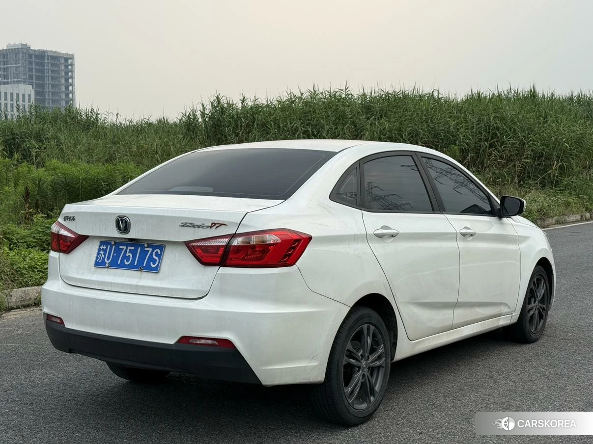Chang'an Yidong DT 2019 Белый из Китая, фото 6