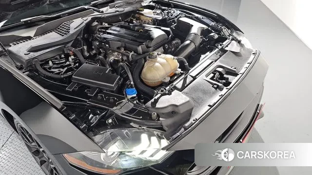 Ford Mustang id 3621098 из Кореи 16