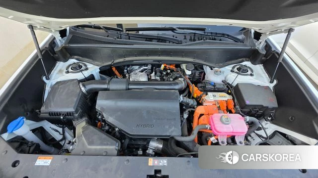 Hyundai Palisade (LX3) 2025 Белый из Кореи, фото 6