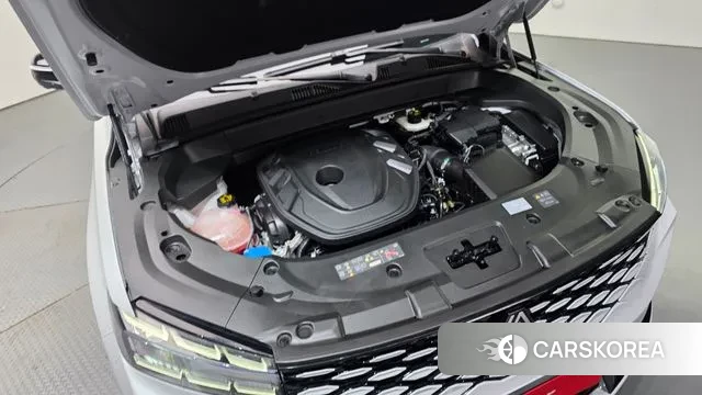 Renault Korea (Samsung) Grand Coleos id 3262111 из Кореи 16