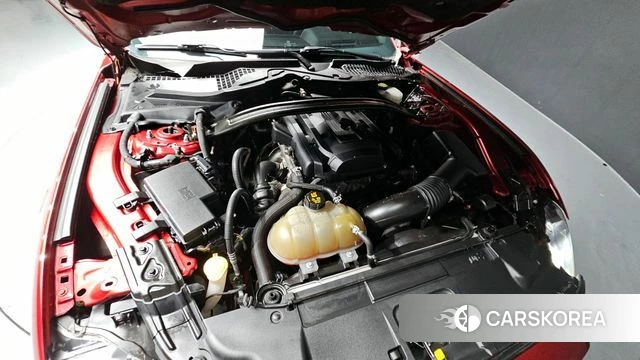 Ford Mustang id 3966519 из Кореи 16