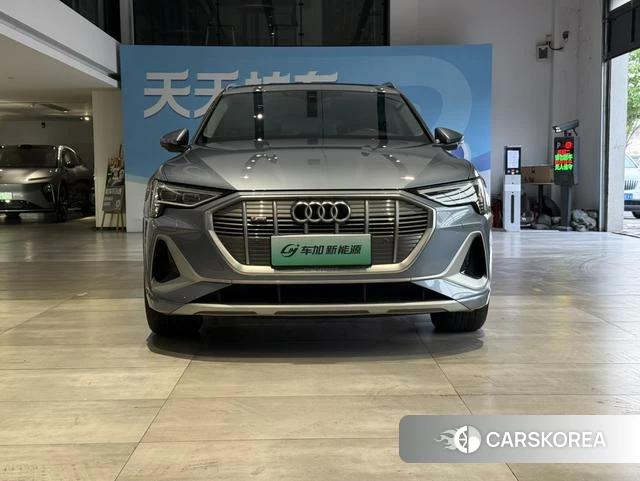 Audi e-tron 2023 Другой из Китая, фото 6