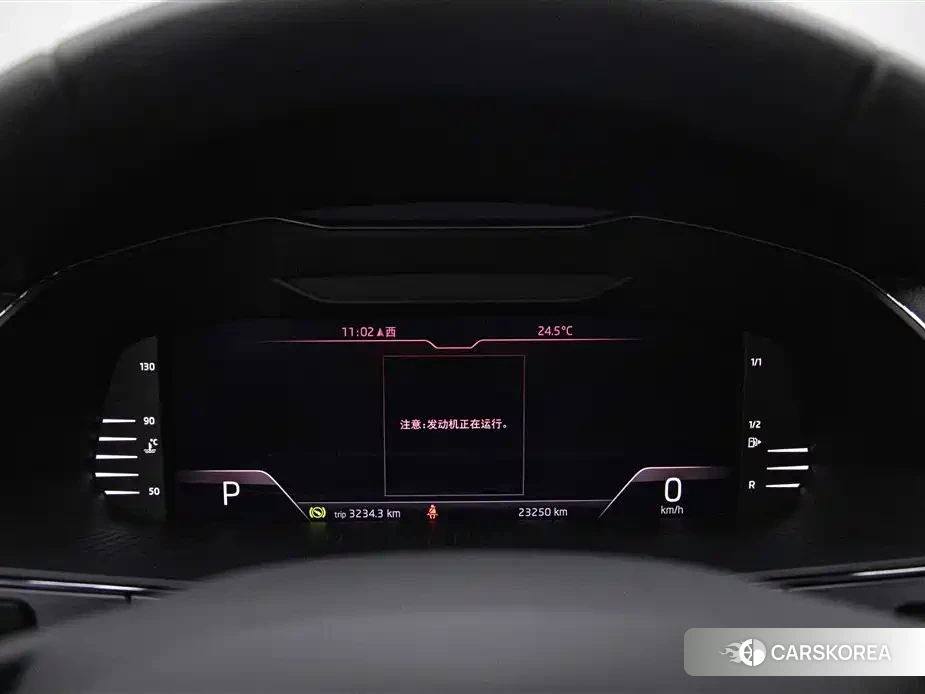 Skoda Speed pie id 4559648 из Китая 25