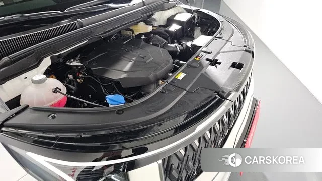 Kia The New Carnival 4th Generation id 3251335 из Кореи 16