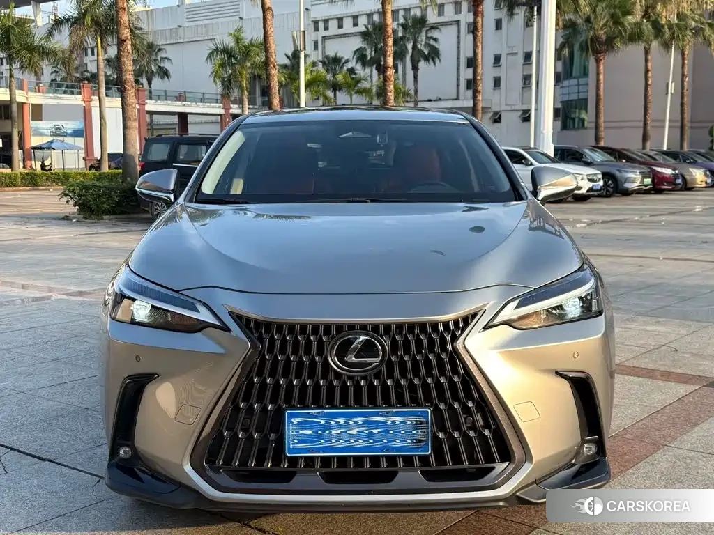 Lexus NX 2023 Silver/gray из Китая, фото 6