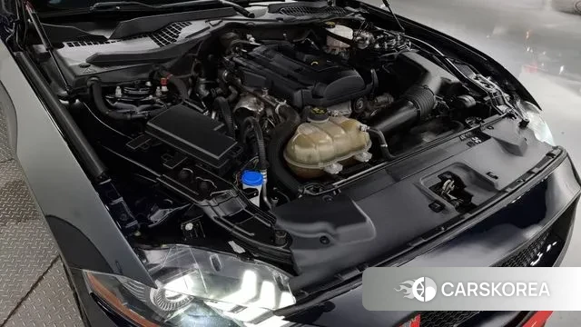 Ford Mustang id 3154815 из Кореи 16