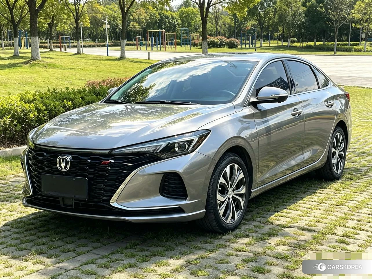 Chang'an Yidong 2021 Темно-серый из Китая, фото 6