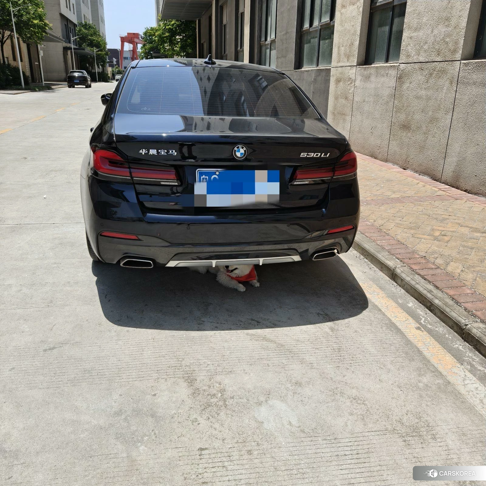 BMW 5 series 2021 Черный из Китая, фото 6