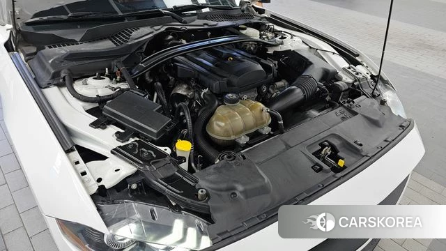 Ford Mustang id 4865143 из Кореи 16