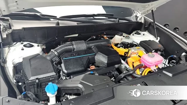 Hyundai Santa Fe (MX5) id 3431782 из Кореи 16