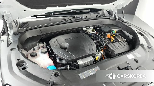 Renault Korea (Samsung) Grand Coleos id 4349241 из Кореи 30