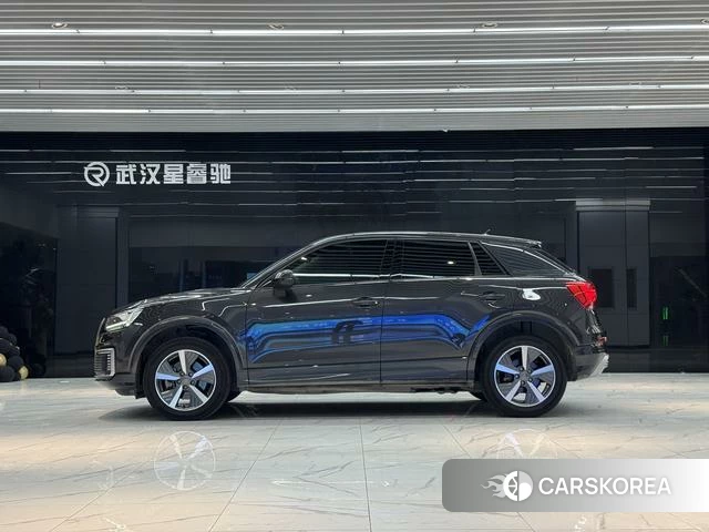 Audi Q2L e-tron id 4307045 из Китая 9
