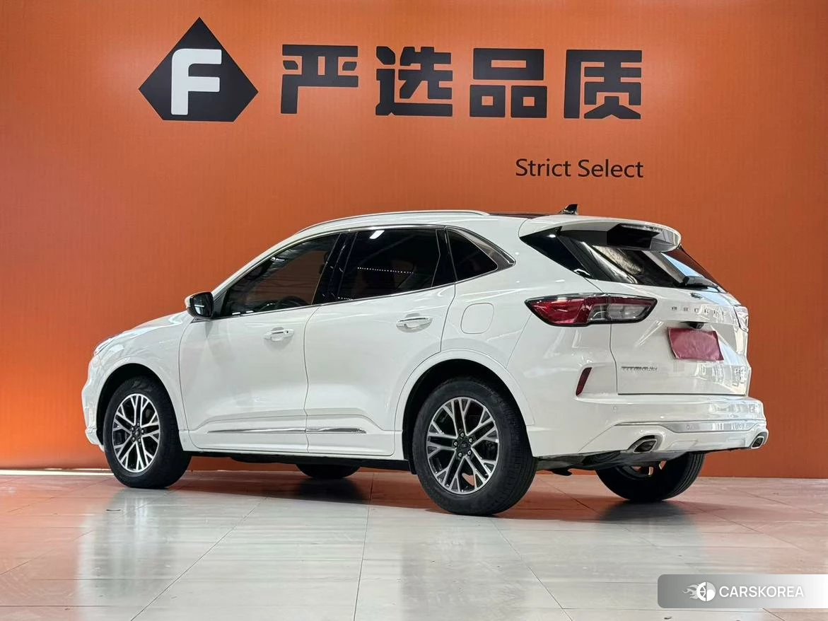 Ford Ruiji 2019 Белый из Китая, фото 6
