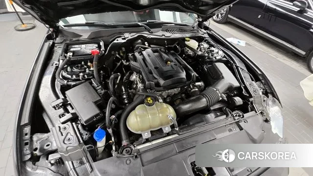 Ford Mustang id 3003791 из Кореи 16