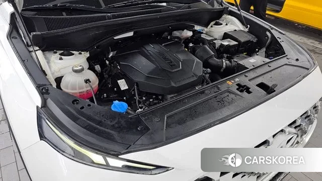 Hyundai The New Santa Fe id 3038176 из Кореи 16