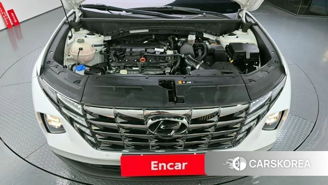 Hyundai Tucson (NX4) id 3954053 из Кореи 16