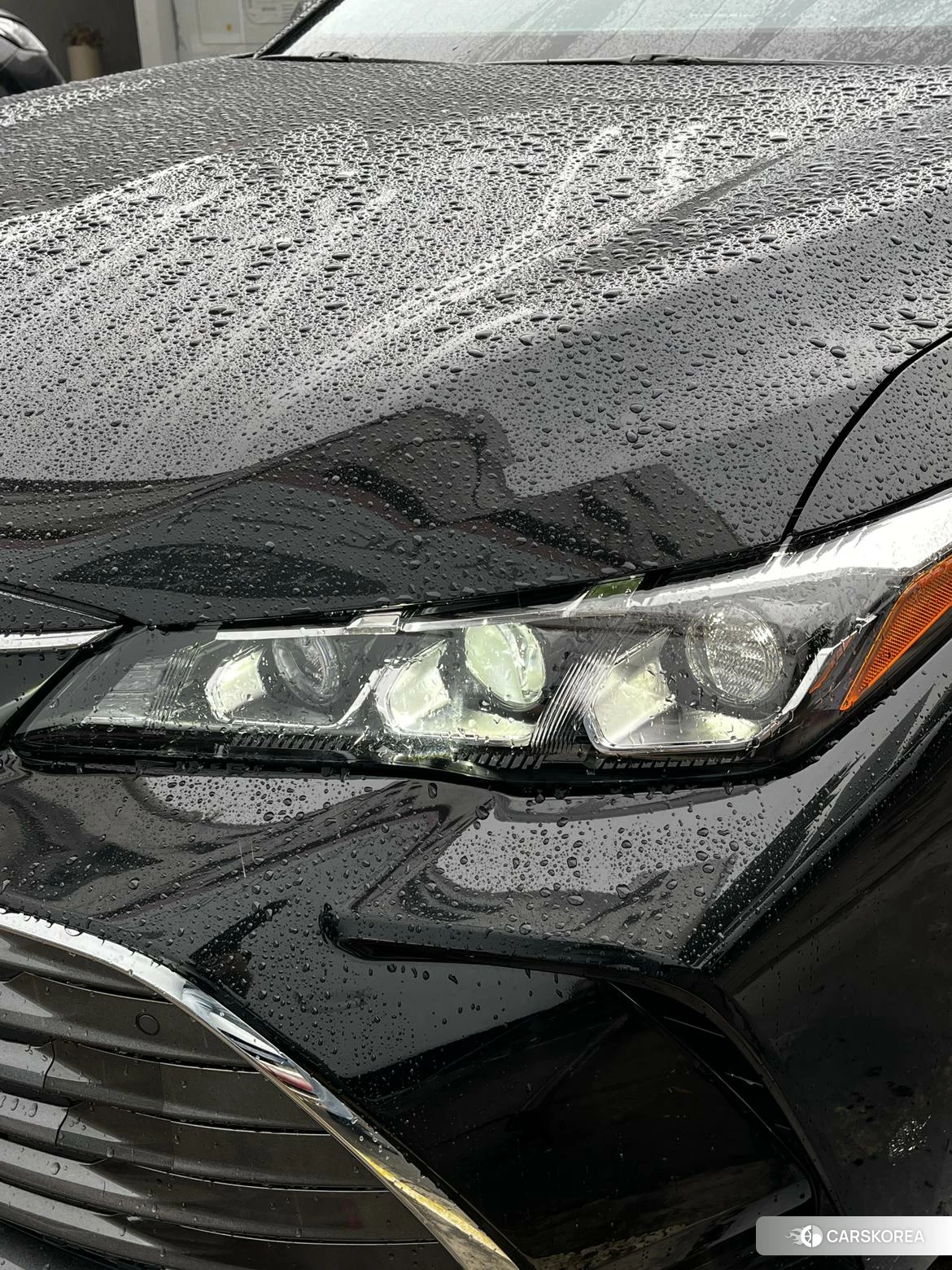 Toyota Asian dragon id 4499073 из Китая 24