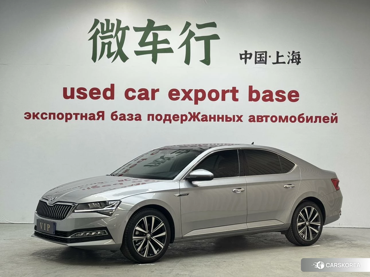 Skoda Speed pie id 4453120 из Китая 19