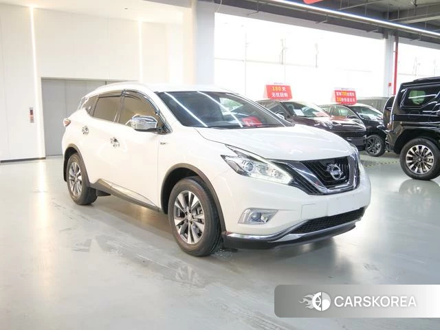 Nissan Loulan id 4221013 из Китая 13