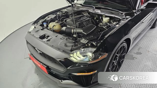 Ford Mustang id 4618704 из Кореи 16