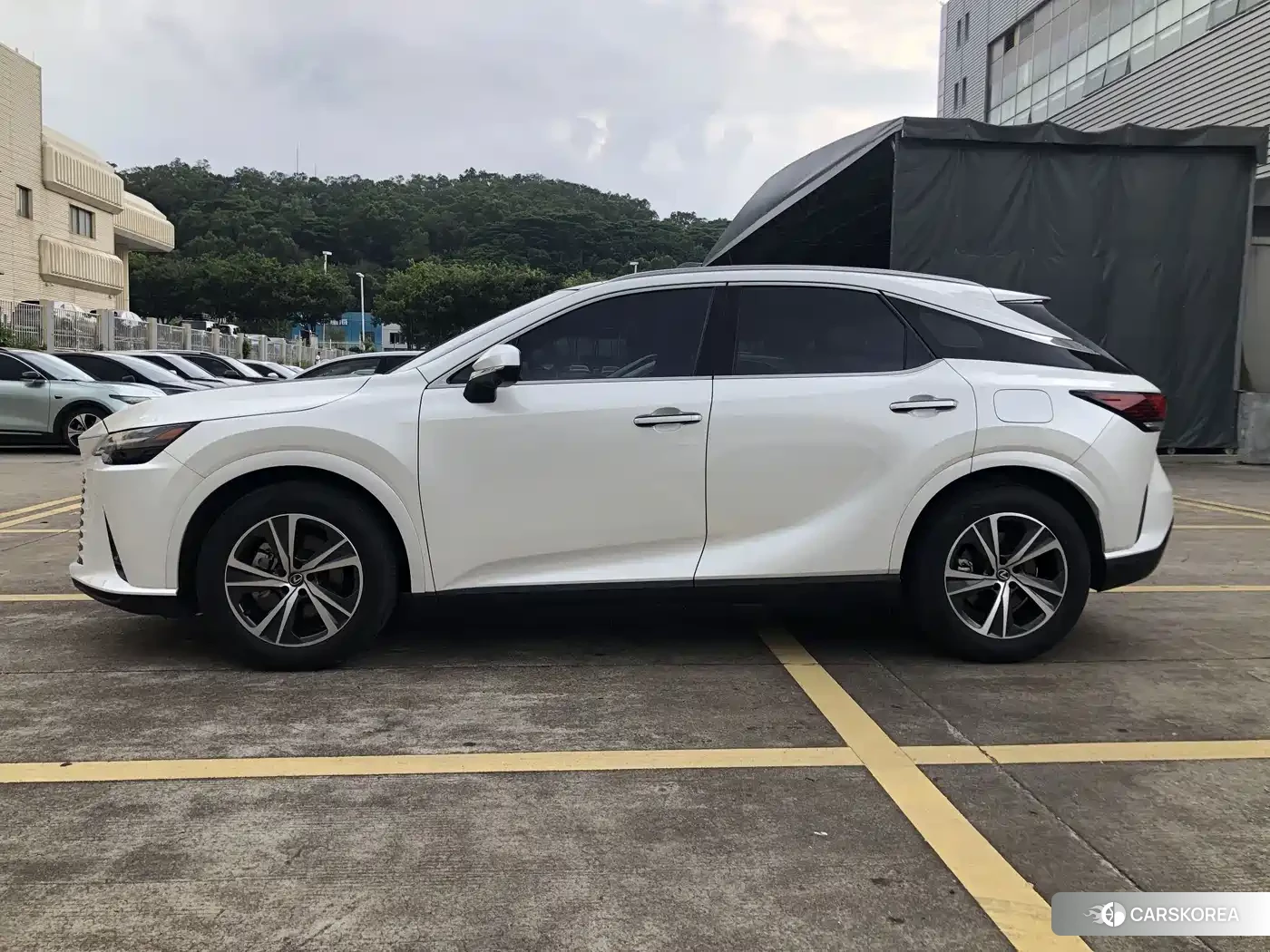 Lexus RX 2024 Белый из Китая, фото 6