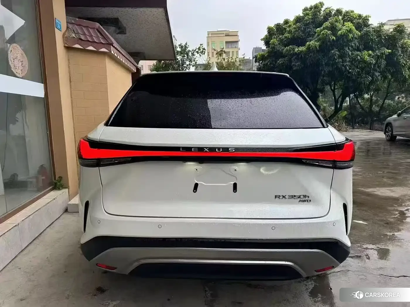 Lexus RX 2024 Белый из Китая, фото 6