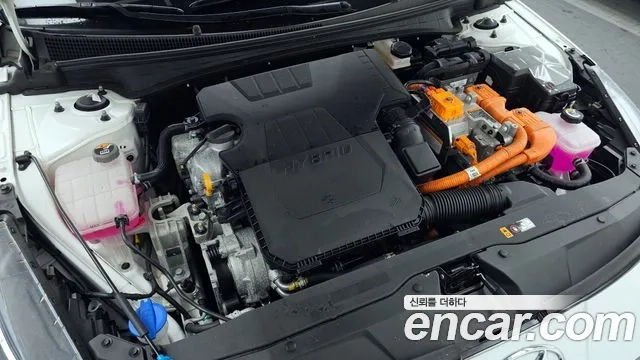 Hyundai Avante Hybrid (CN7) id 2927180 из Кореи 16