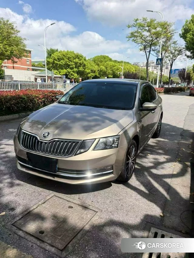 Skoda Octavia 2018 Шампань из Китая, фото 6