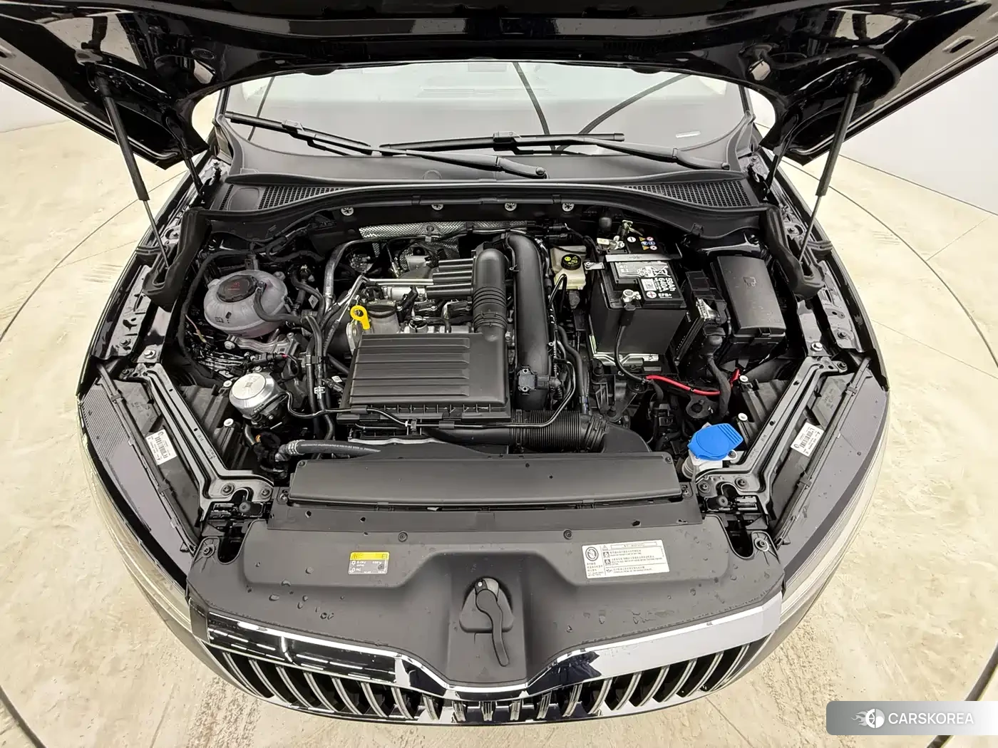 Skoda Speed pie id 4538744 из Китая 18