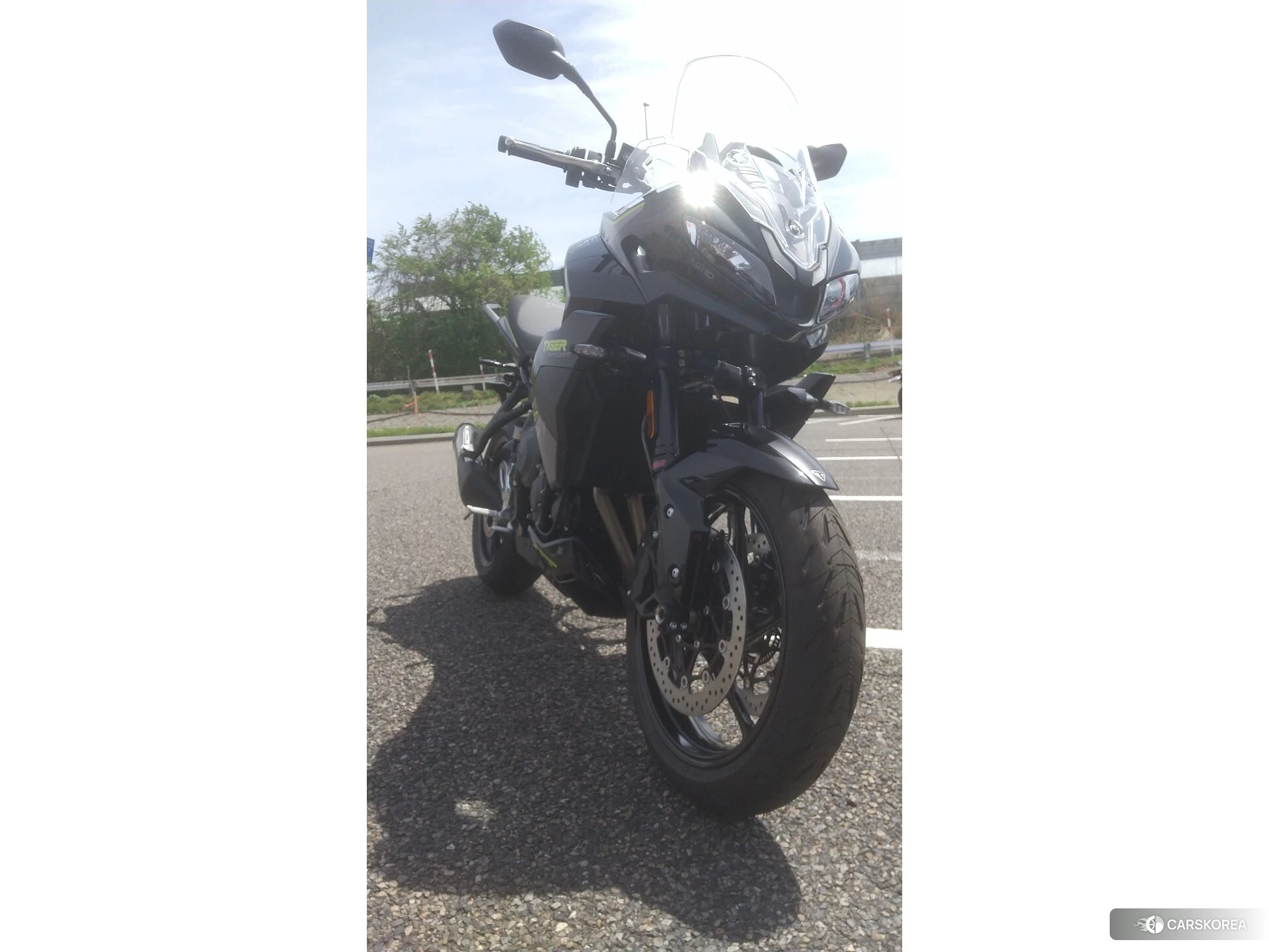 Triumph TIGER 800 id 4247982 из Японии 9
