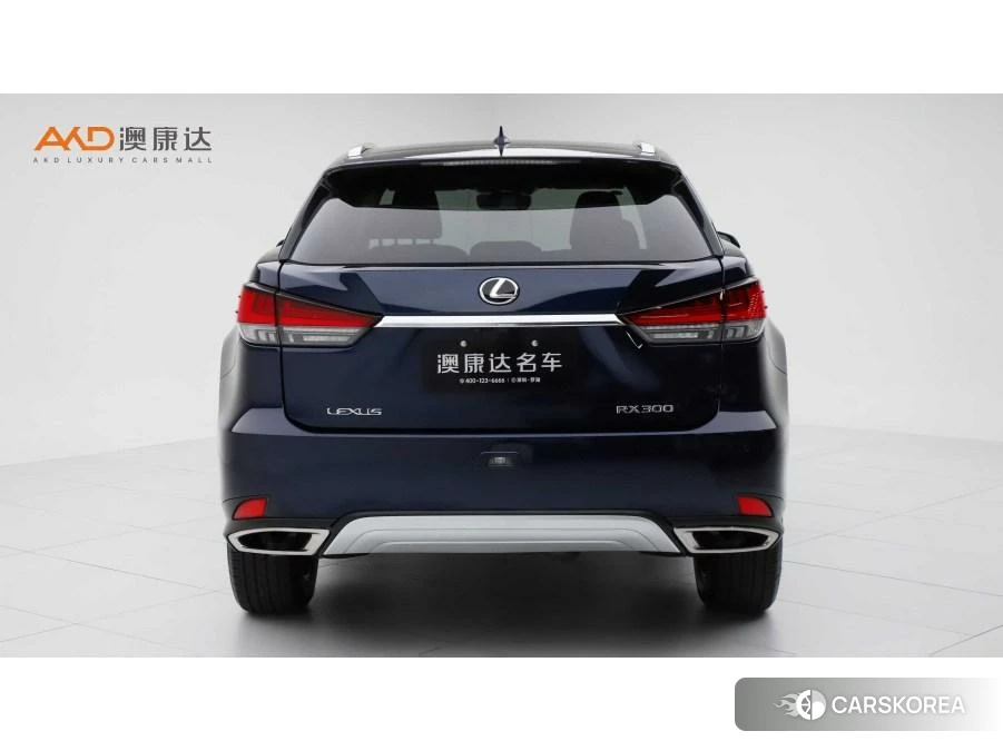 Lexus RX id 4454352 из Китая 7