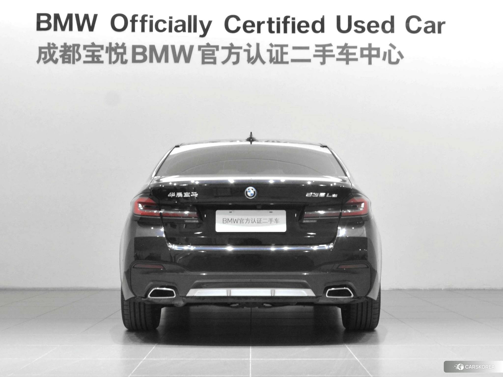 BMW 5 series PHEV id 4512812 из Китая 12