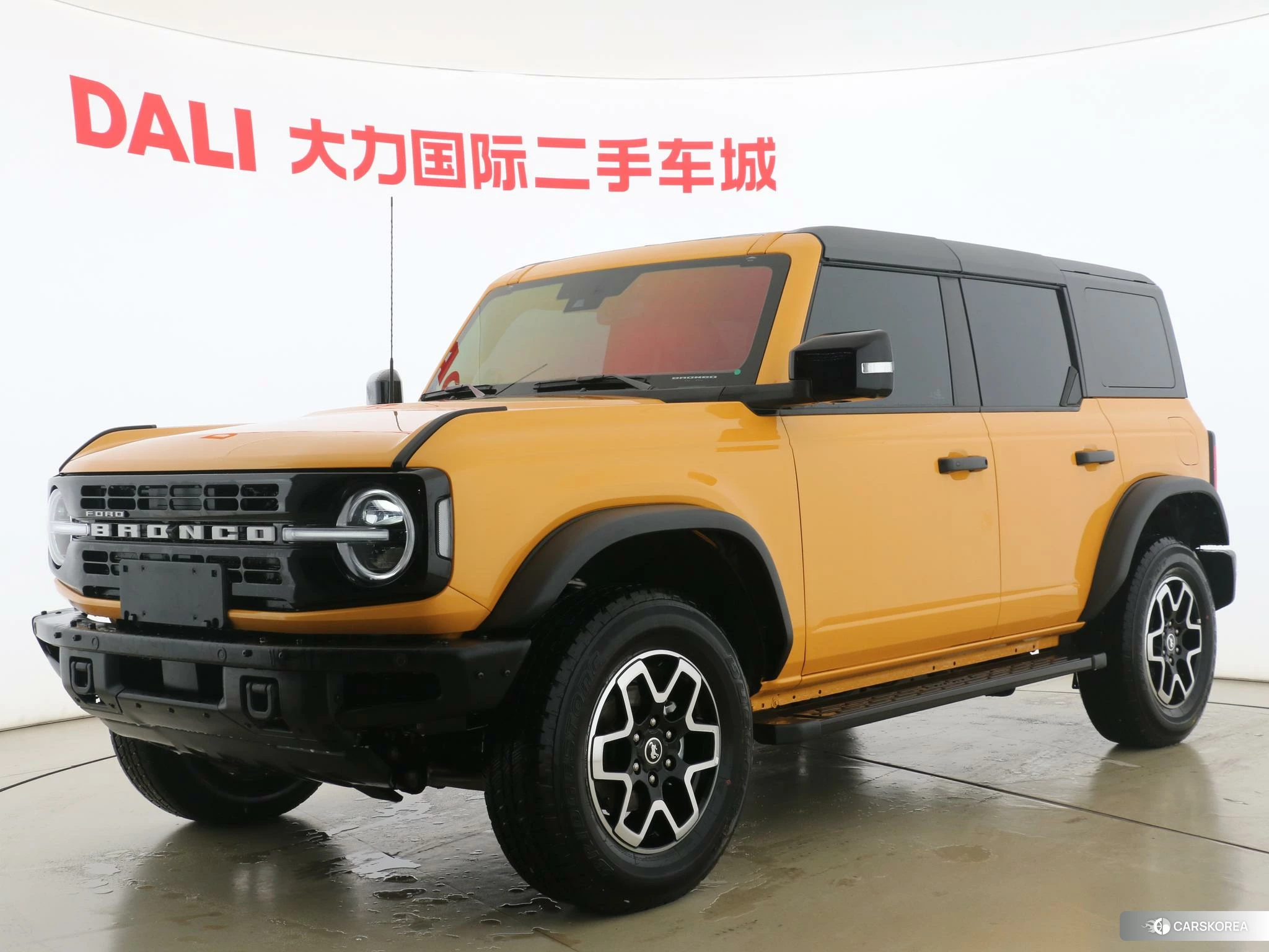 Ford Lie Ma id 4505008 из Китая 12