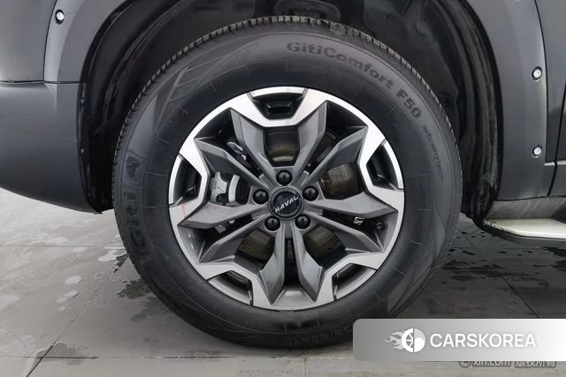 Haval Big dog id 4210520 из Китая 21