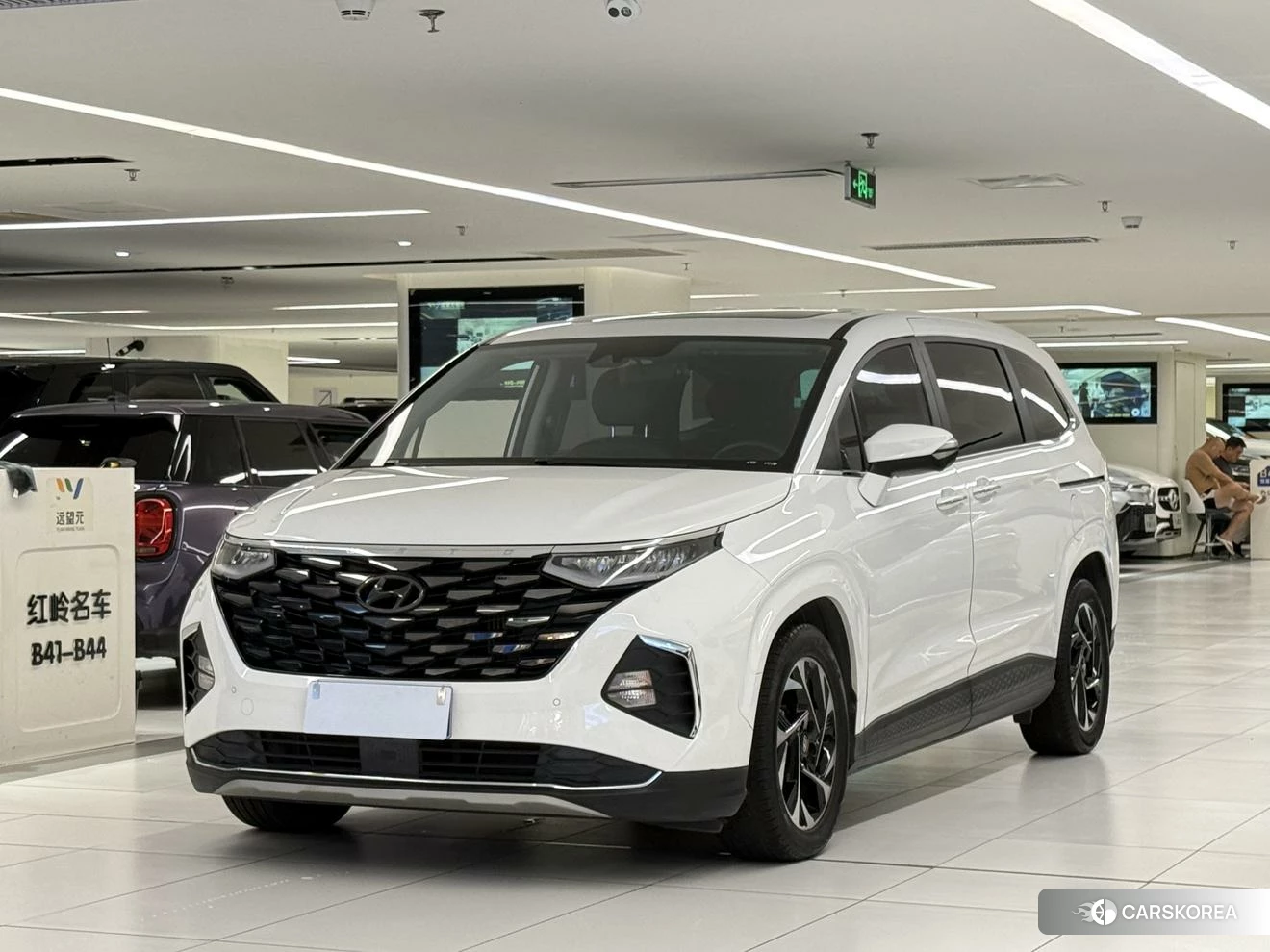 Hyundai Kustu id 4510911 из Китая 21